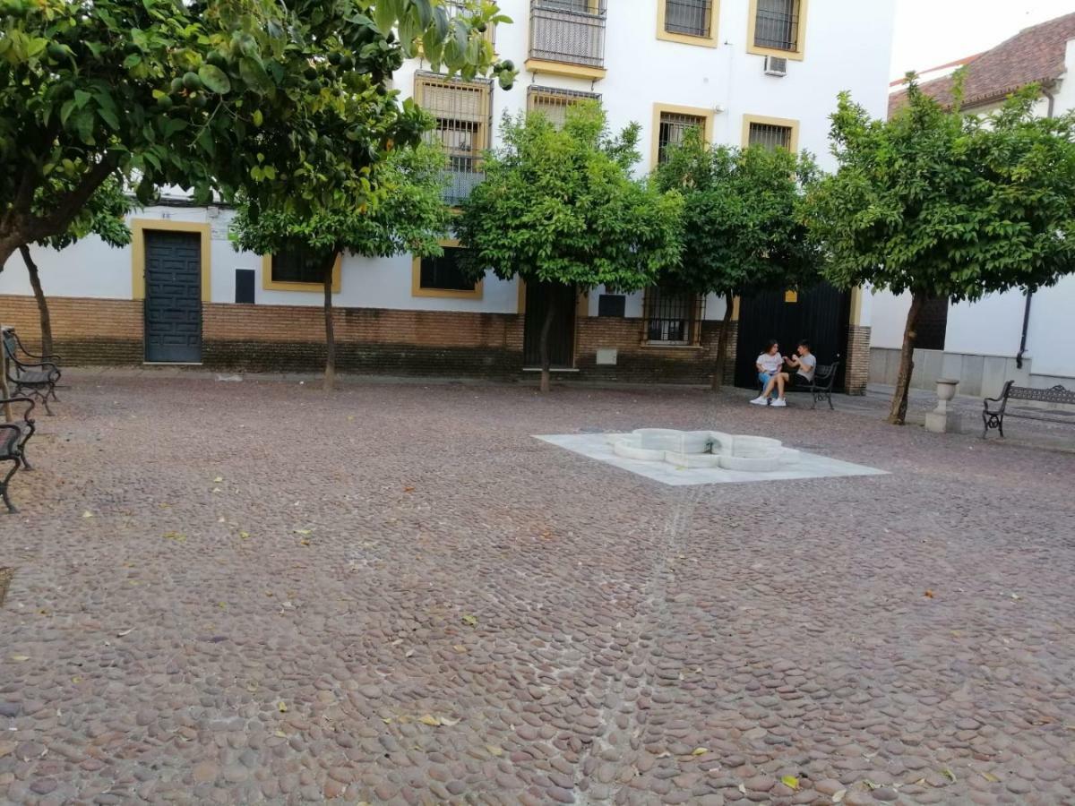 Calle Abejar,plaza Apartamento Córdoba